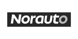 Logo Norauto